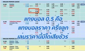 ราคาบอล 0.5 คืออะไร