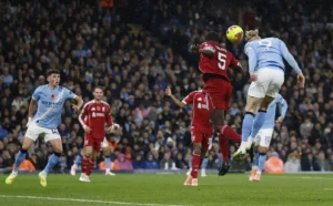 เทพหักปีกหงส์